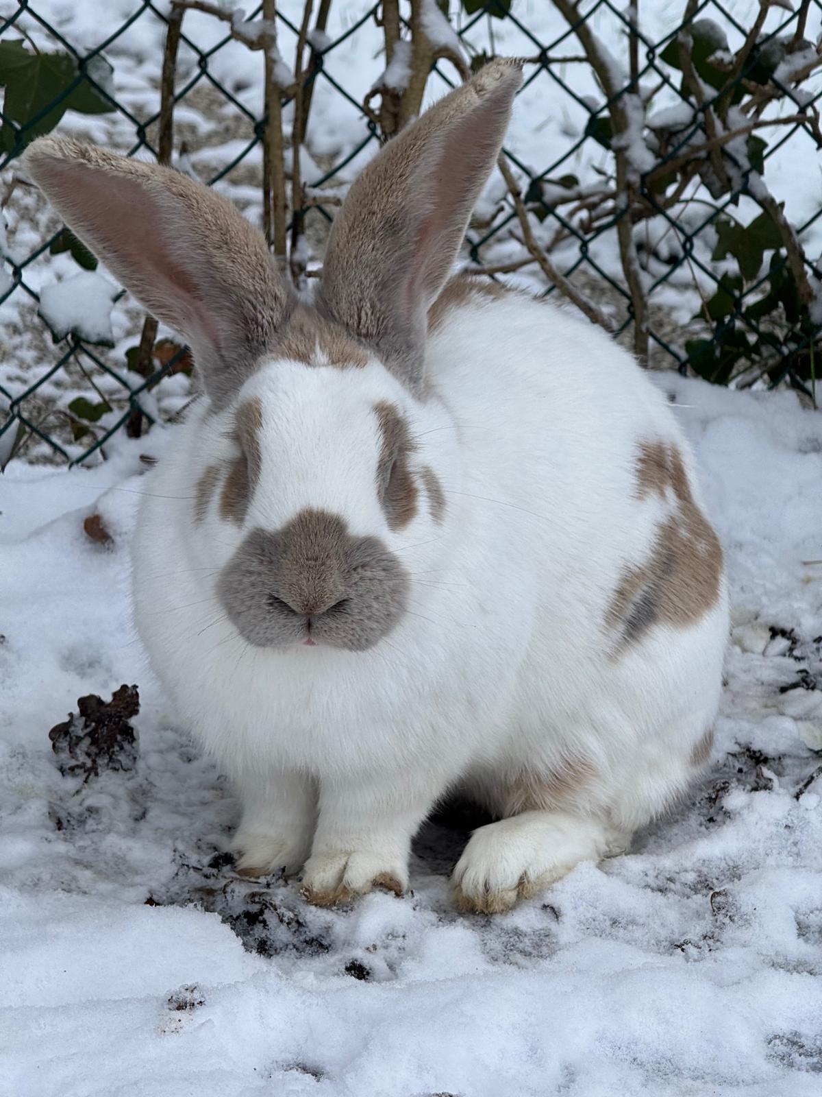 villa-vonk (27).jpeg