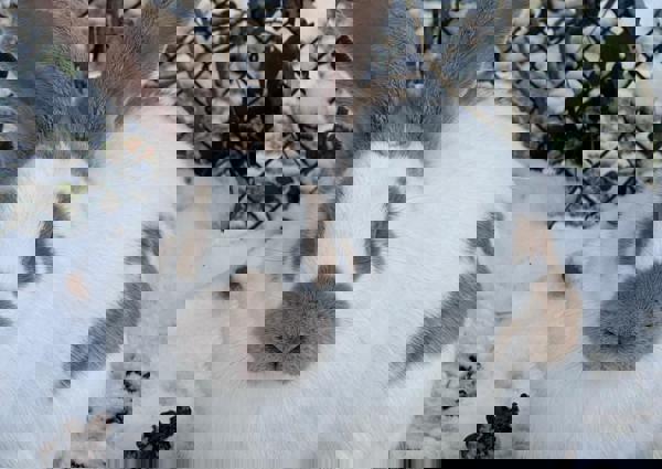 villa-vonk (27).jpeg