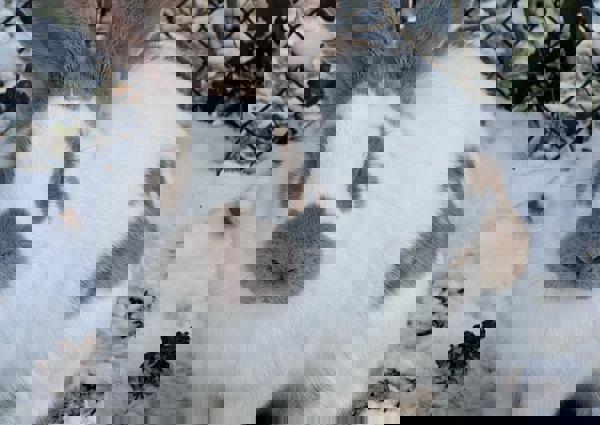 villa-vonk (27).jpeg