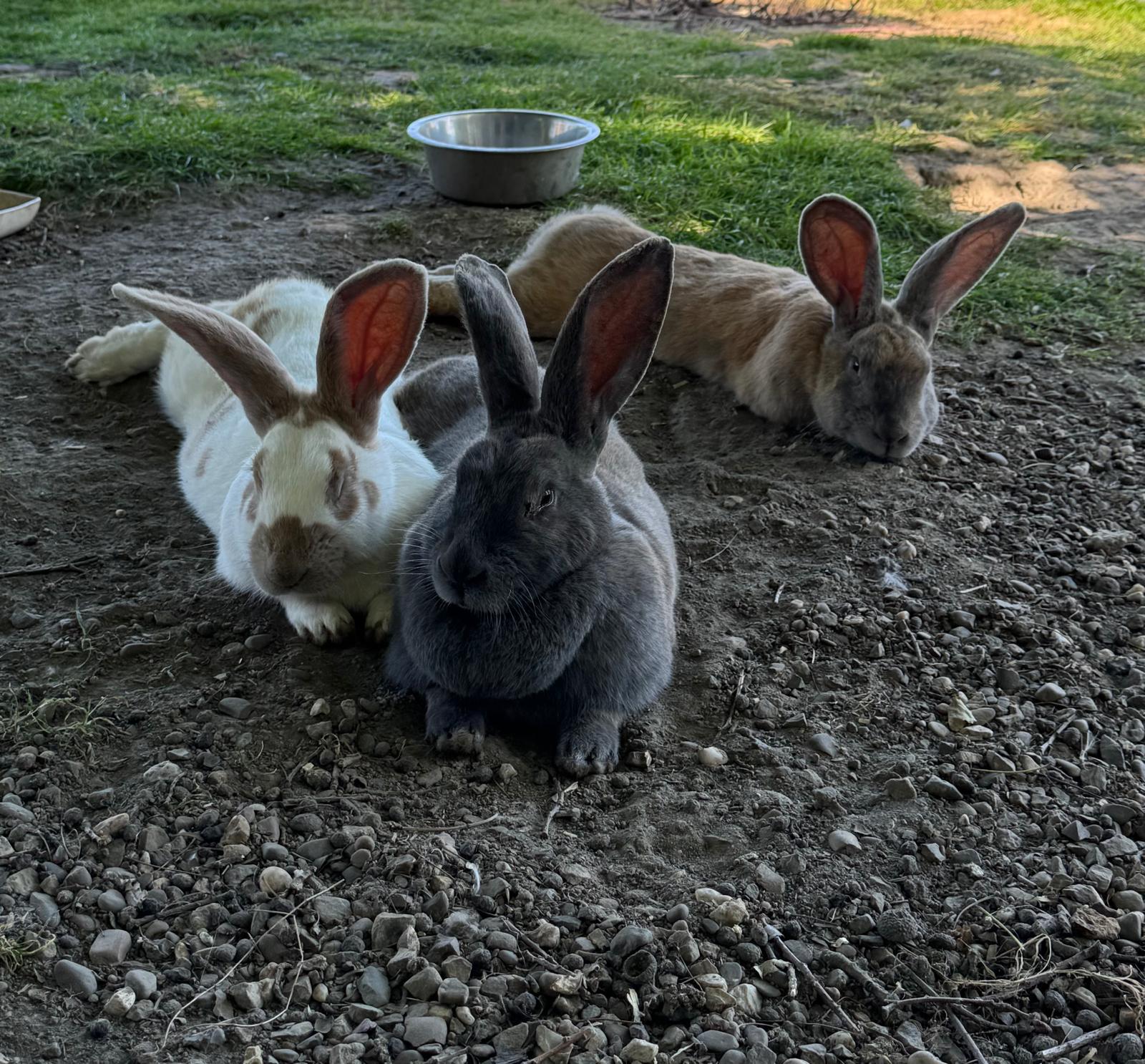 villa-vonk (28).jpeg