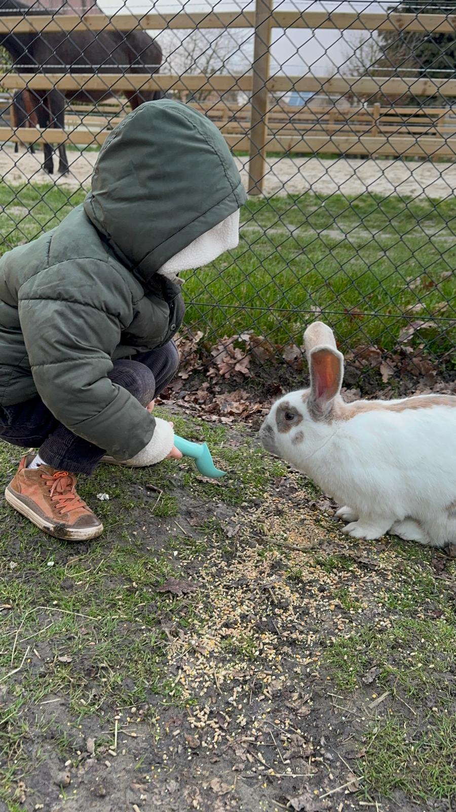 villa-vonk (12).jpeg