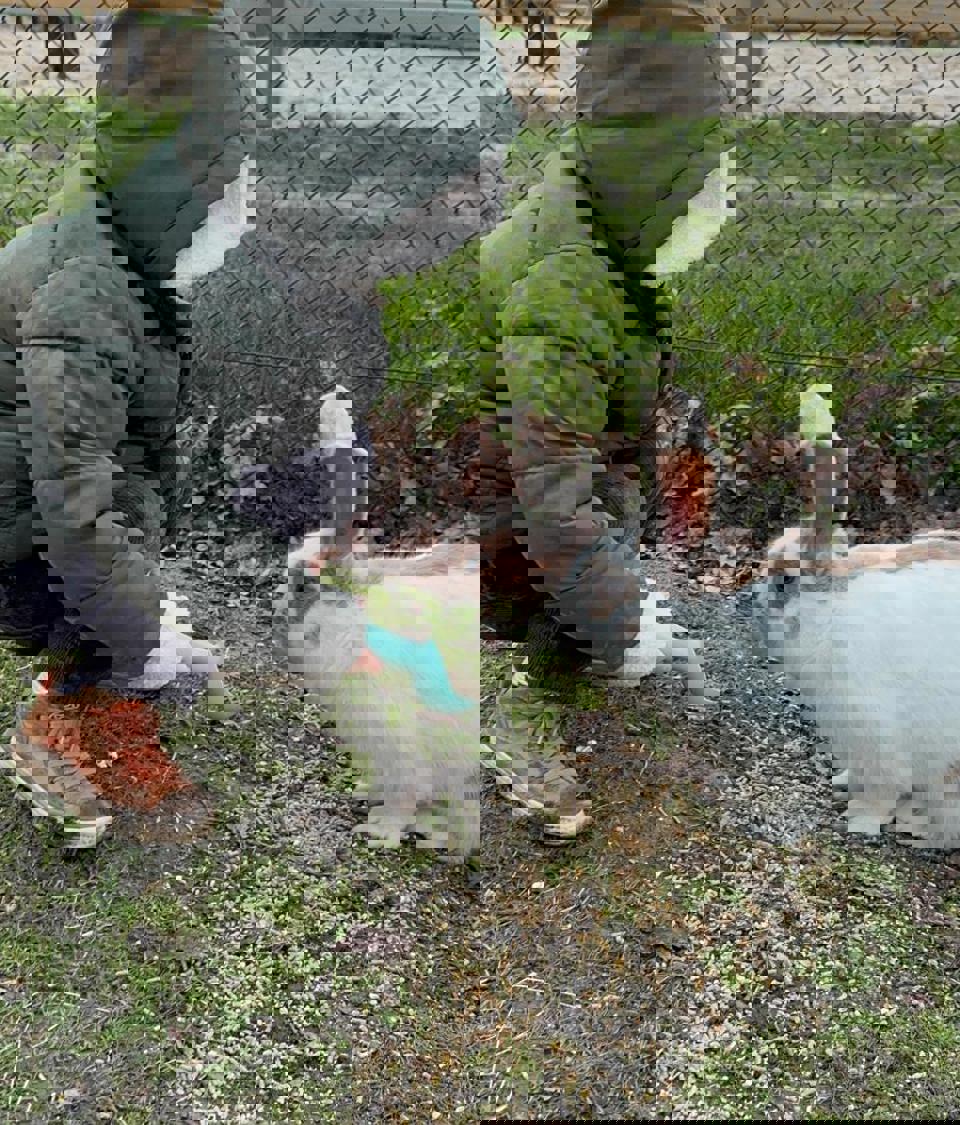 villa-vonk (12).jpeg