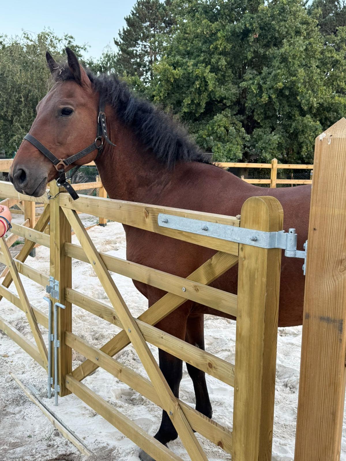 villa-vonk (24).jpeg