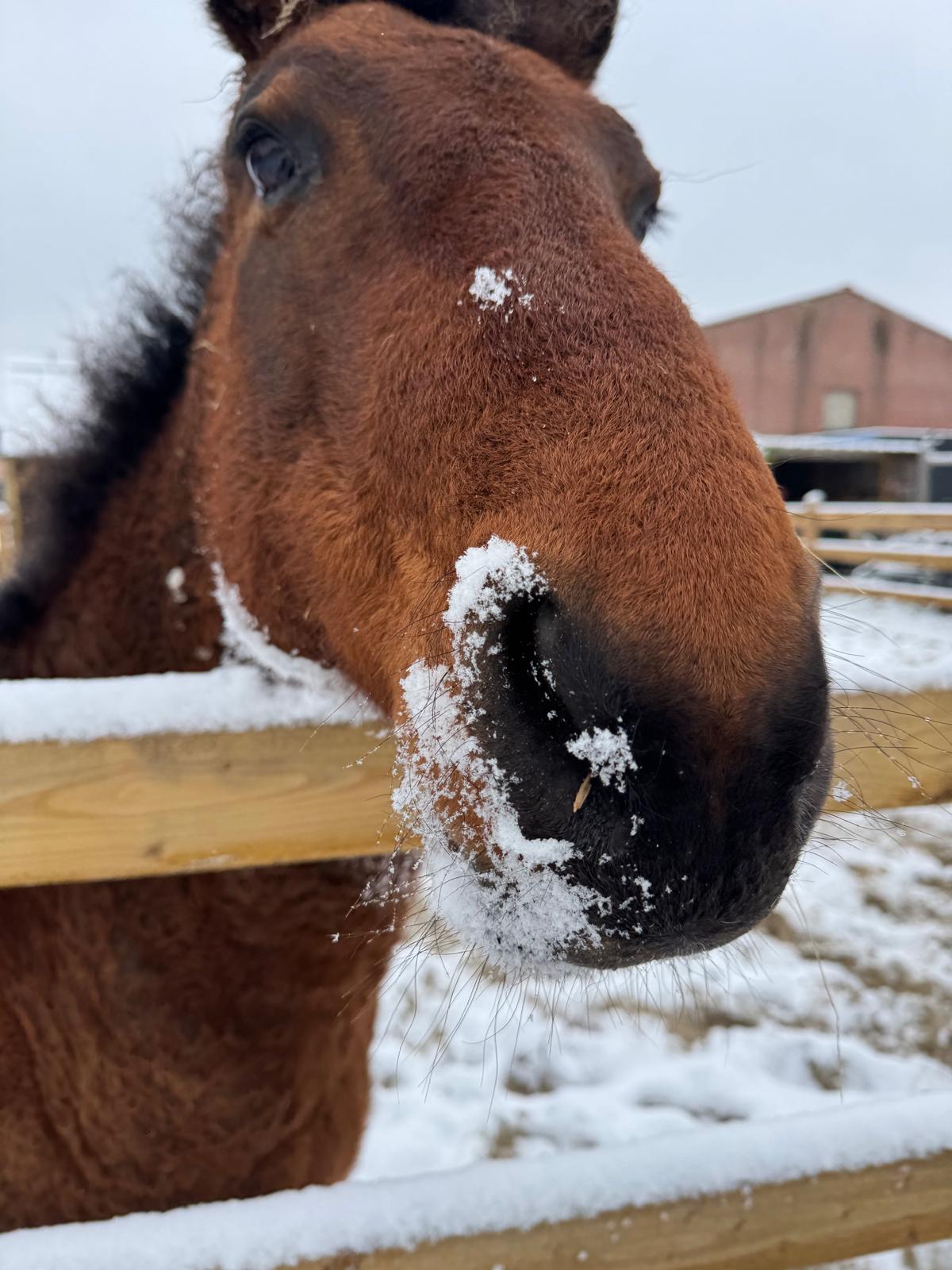 villa-vonk (20).jpeg