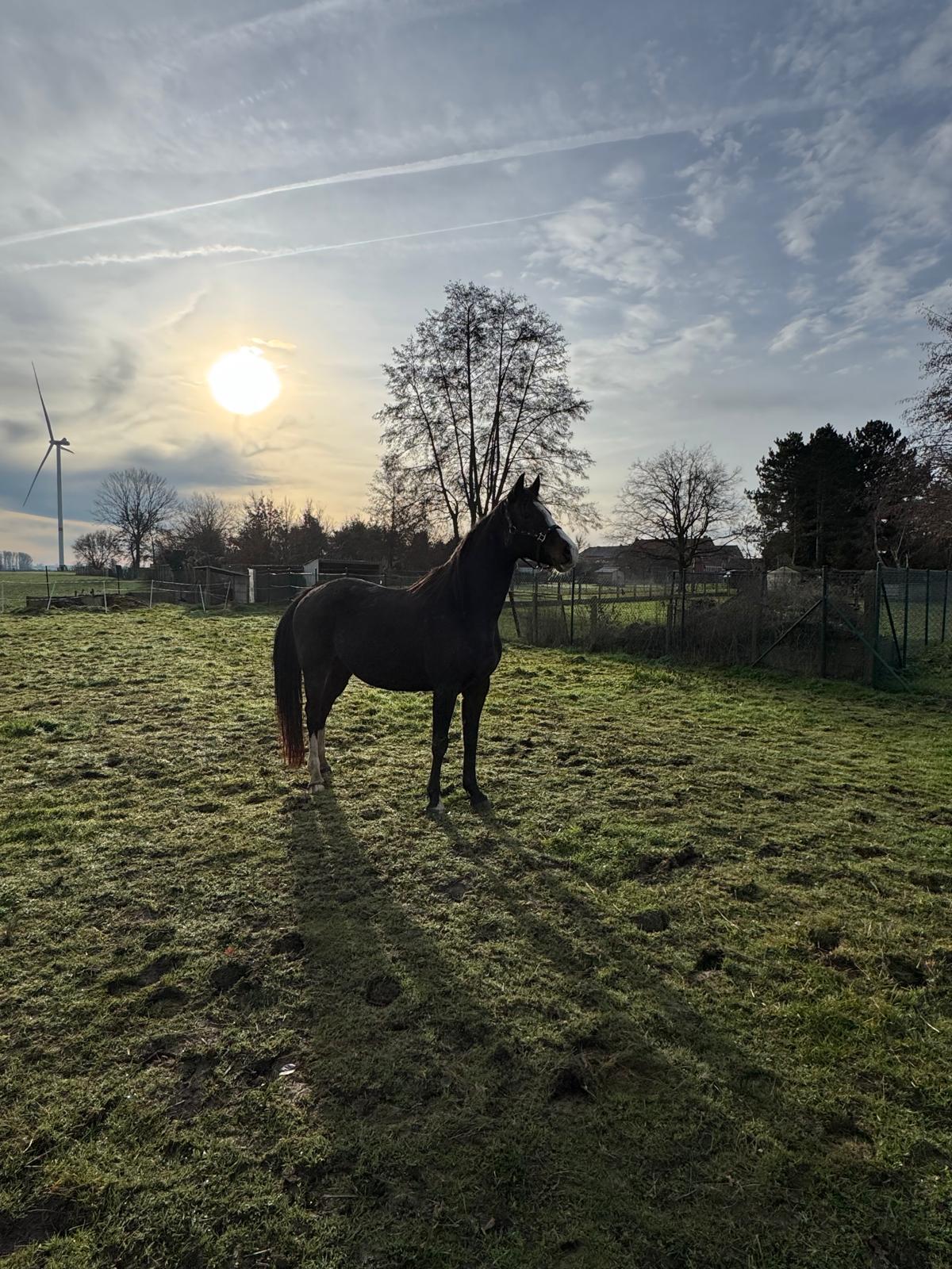 villa-vonk (22).jpeg