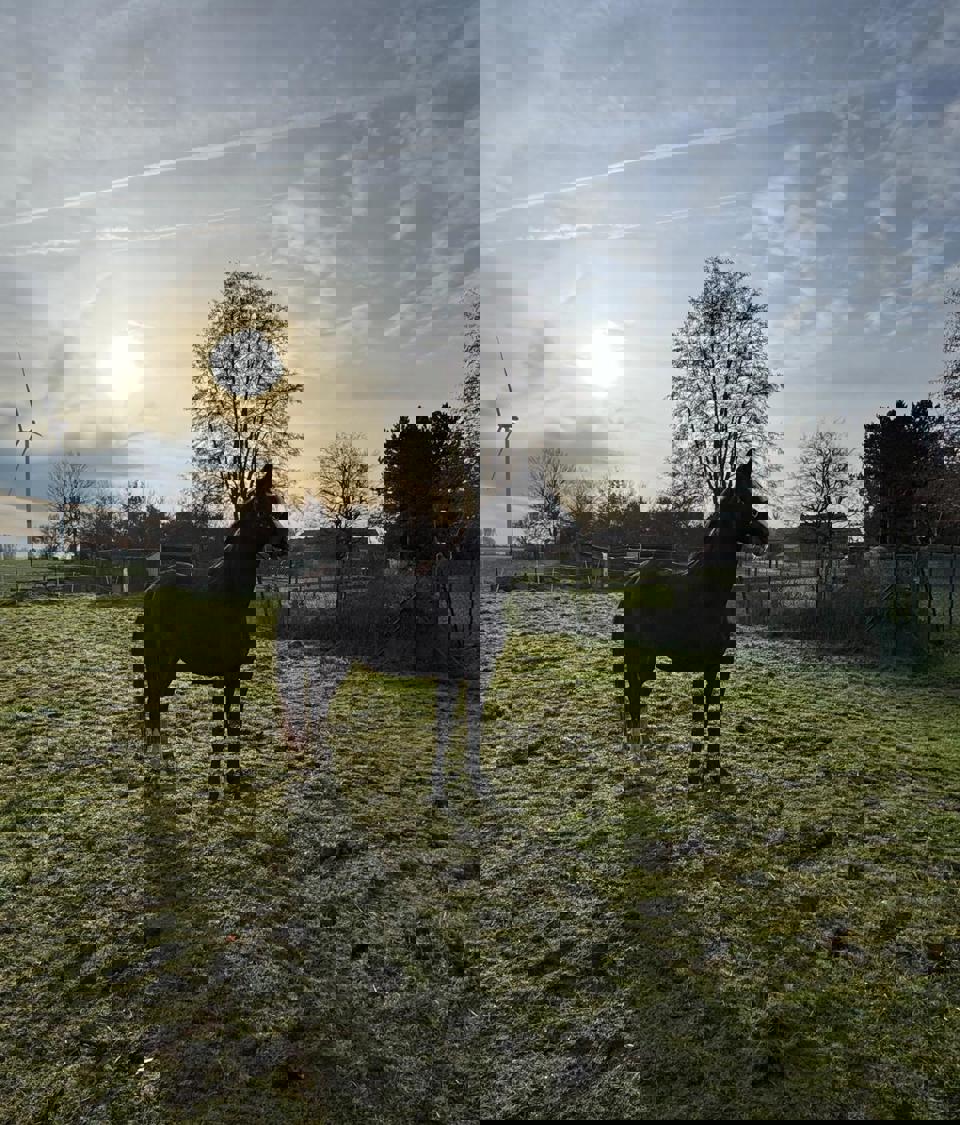 villa-vonk (22).jpeg