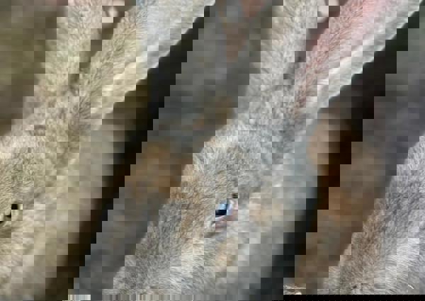 villa-vonk (29).jpeg