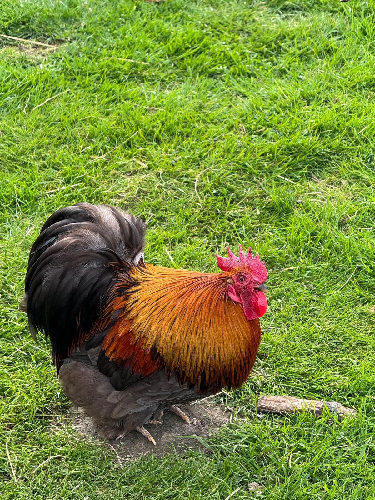 villa-vonk (32).jpeg